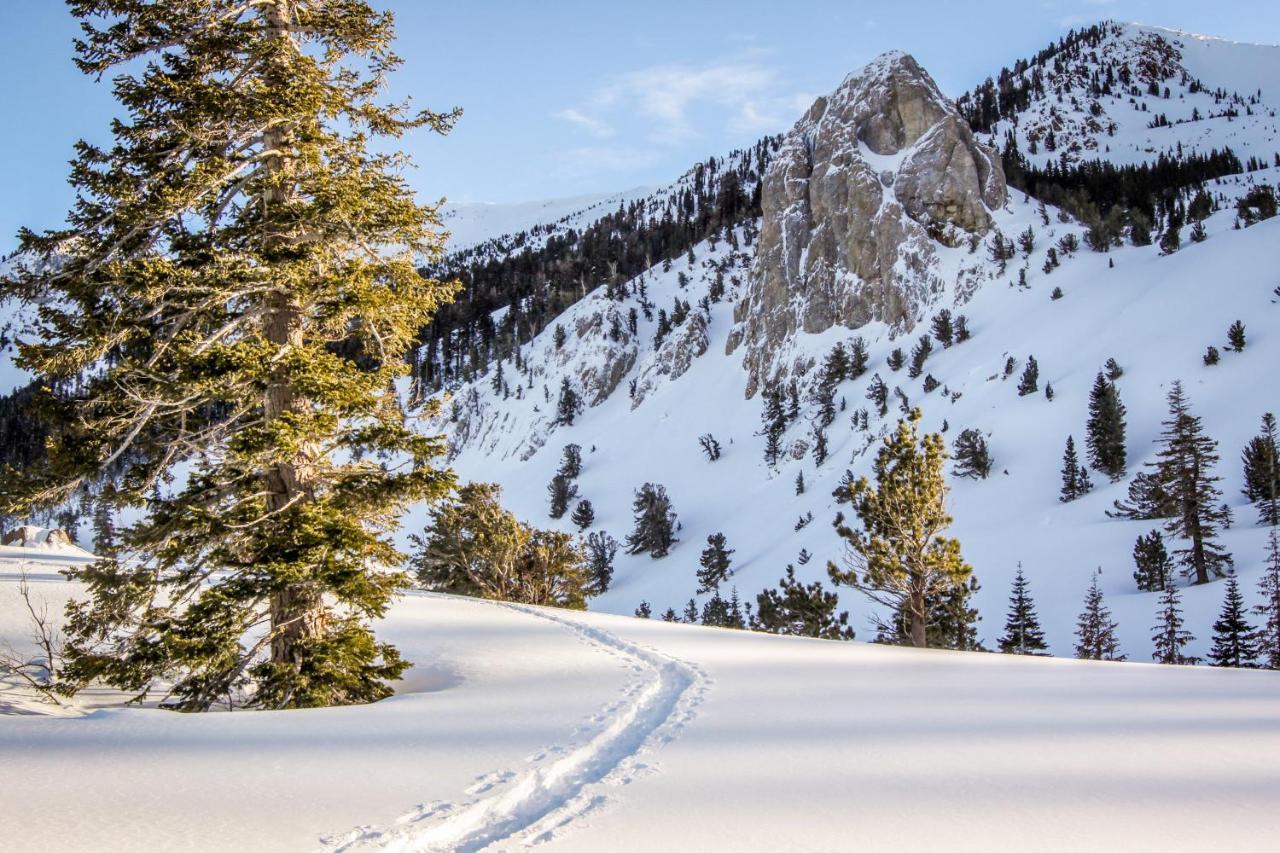 Crestview Villa Mammoth Lakes Bagian luar foto